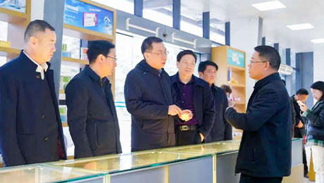 依法服务保障企业更好发展，陇南中院院长万建军赴独一味制药调研指导
