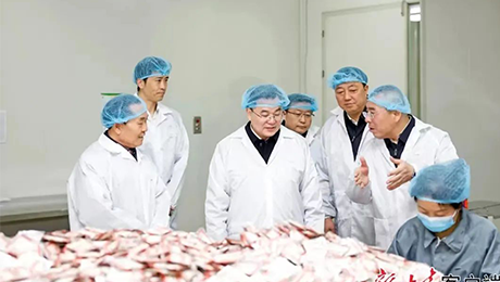 甘肃省委书记胡昌升莅临yl6809永利健康集团佛仁制药考察调研