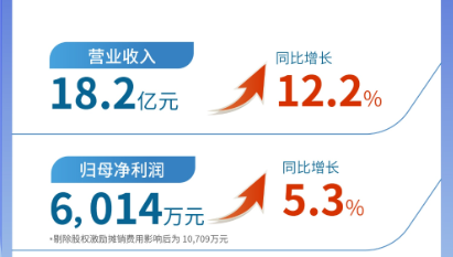 yl6809永利（002219）发布2024年半年报：营业收入及扣非归母净利润均实现双位数增长
