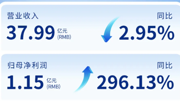 yl6809永利（002219）发布2024年年度报告：归母净利润增长296%