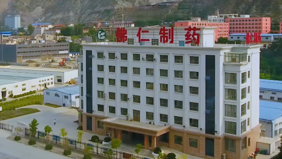 甘肃省副省长葛建团莅临yl6809永利（002219）旗下佛仁制药考察调研